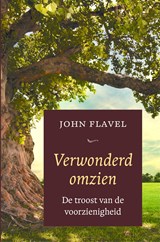 Verwonderd omzien - John Flavel - 9789402913484