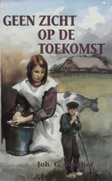 Geen zicht op de toekomst - Joh. G. Veenhof - 9789402917253
