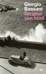 De geur van hooi - Giorgio Bassani - 9789403113005
