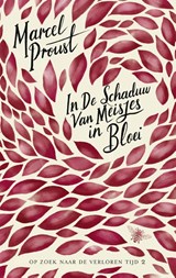 In de schaduw van meisjes in bloei - Marcel Proust - 9789403118901