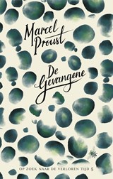 De gevangene - Marcel Proust - 9789403131009