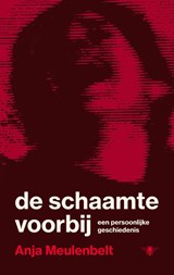De schaamte voorbij - Anja Meulenbelt - 9789403135168