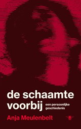 De schaamte voorbij - Anja Meulenbelt - 9789403137322