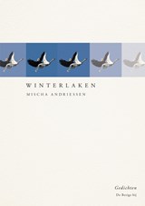 Winterlaken - Mischa Andriessen - 9789403154206