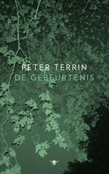 De gebeurtenis - Peter Terrin - 9789403181813