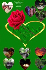 Leef Beleef! - Regina Jansen - 9789403605753