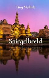 Spiegelbeeld - Tiny Meilink - 9789403641157