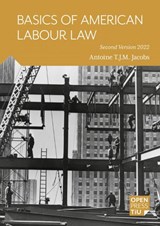 Basics of American Labour Law - Antoine T.J.M. Jacobs - 9789403673936
