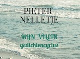 MIJN VILEIN - Pieter Nelletje - 9789403709604