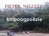 knipoogpoëzie - Pieter Nelletje - 9789403718897
