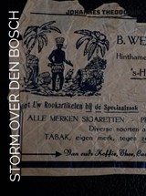 VERGETEN VERSLAG - Johannes Theodorus - 9789403802343