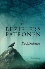 De Bezielerspatronen - Angie Desmet - 9789403874364