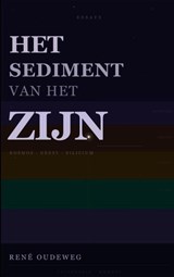 Het Sediment van het Zijn - René Oudeweg - 9789403885698