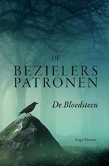 De Bezielerspatronen - Angie Desmet - 9789403899848