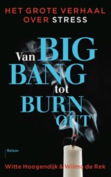 Van big bang tot burn-out - Witte Hoogendijk ; Wilma de Rek - 9789460034152