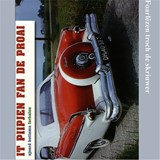 It piipjen fan de proai - Sjoerd Bottema - 9789460380570