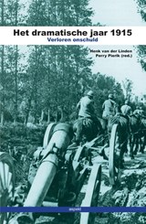 Het dramatische jaar 1915 - Henk van der Linden - 9789461535139