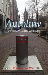 Autoluw - Marcel de Wit - 9789461550699