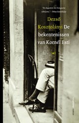 De bekentenissen van Kornél Esti - Dezső Kosztolányi - 9789461648709
