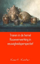 Tranen in de hemel Rouwverwerking in eeuwigheidsperspectief - Koert Koster - 9789461938244