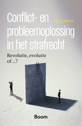 Conflict- en probleemoplossing in het strafrecht - M.J. Dubelaar - 9789462129719