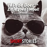 Zit je goed? Mooi! - Herman Pieter de Boer - 9789462178007