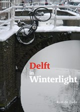 Delft in Winterlight - Roel de Oude - 9789462264953