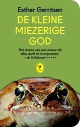 De kleine miezerige god - Esther Gerritsen - 9789462370531