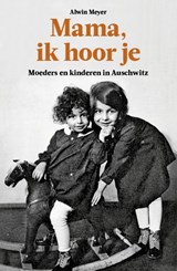 Mama, ik hoor je - Alwin Meyer - 9789462624030