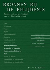 Bronnen bij de belijdenis / 3 - C.A Tukker - 9789462784192