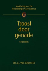 Troost door genade - J.J. van Eckeveld - 9789462789760