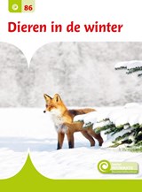 Dieren in de winter - Geert- -Jan Roebers - 9789463417747