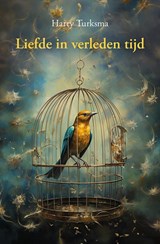 Liefde in verleden tijd - Harry Turksma - 9789463655866
