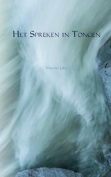 Het Spreken in Tongen - Vincent Grit - 9789463675970
