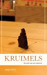 Kruimels - Rino Feys - 9789463678728