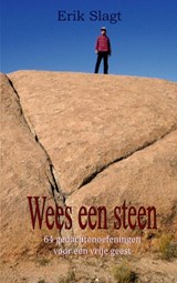 Wees een steen - Erik Slagt - 9789464181425