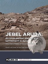 Jebel Aruda: An Uruk period temple and settlement in Syria - Govert van Driel ; Carol van Driel-Murray - 9789464261745