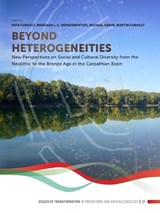 Beyond heterogeneities -  - 9789464271119