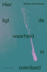 Hier ligt de waarheid in overdaad - Myriem El-Kaddouri - 9789464342505