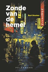 Zonde van de hemel - Bart Stouten - 9789464342710