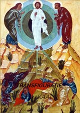 TRANSFIGURATIE - A.E.J. Kaal - 9789464350883
