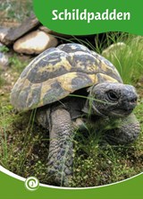 Schildpadden - Geert-Jan Roebers - 9789464395662