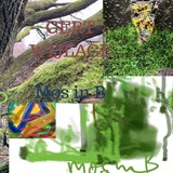 Mos in B - Gert Wijlage - 9789464482072