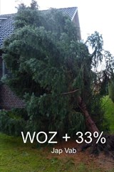 WOZ + 33% - Jap Vab - 9789464482904