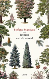 Bomen van de wereld - Stefano Mancuso - 9789464520033