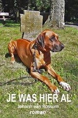 Je was hier al - Johann van Rossum - 9789464651553