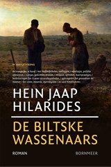 De Biltske Wassenaars - Hein Jaap Hilarides - 9789464713961