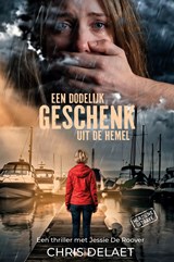 Een dodelijk geschenk uit de hemel - Chris Delaet - 9789464775587