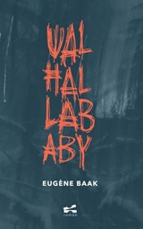 Walhalla baby - Eugène Baak - 9789465013091