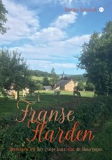 Franse Flarden - Bettina Buissink - 9789465090283